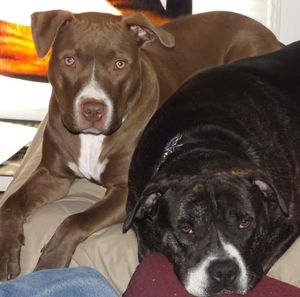 Meet your Posher, Russell